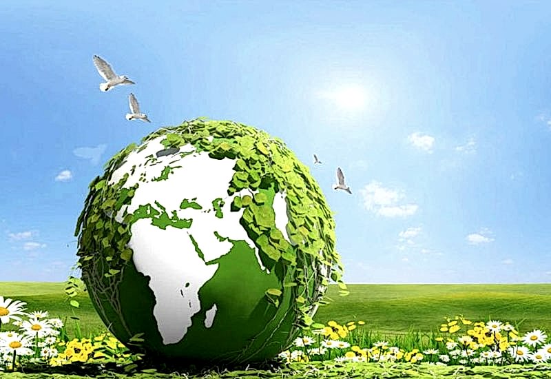 İpek Geri Dönüşüm Geri Dönüşüm Nedir